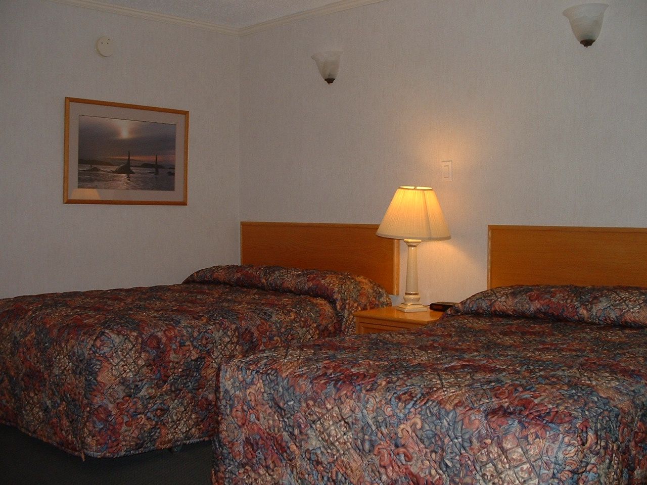 Coast High Country Inn Whitehorse Exteriör bild